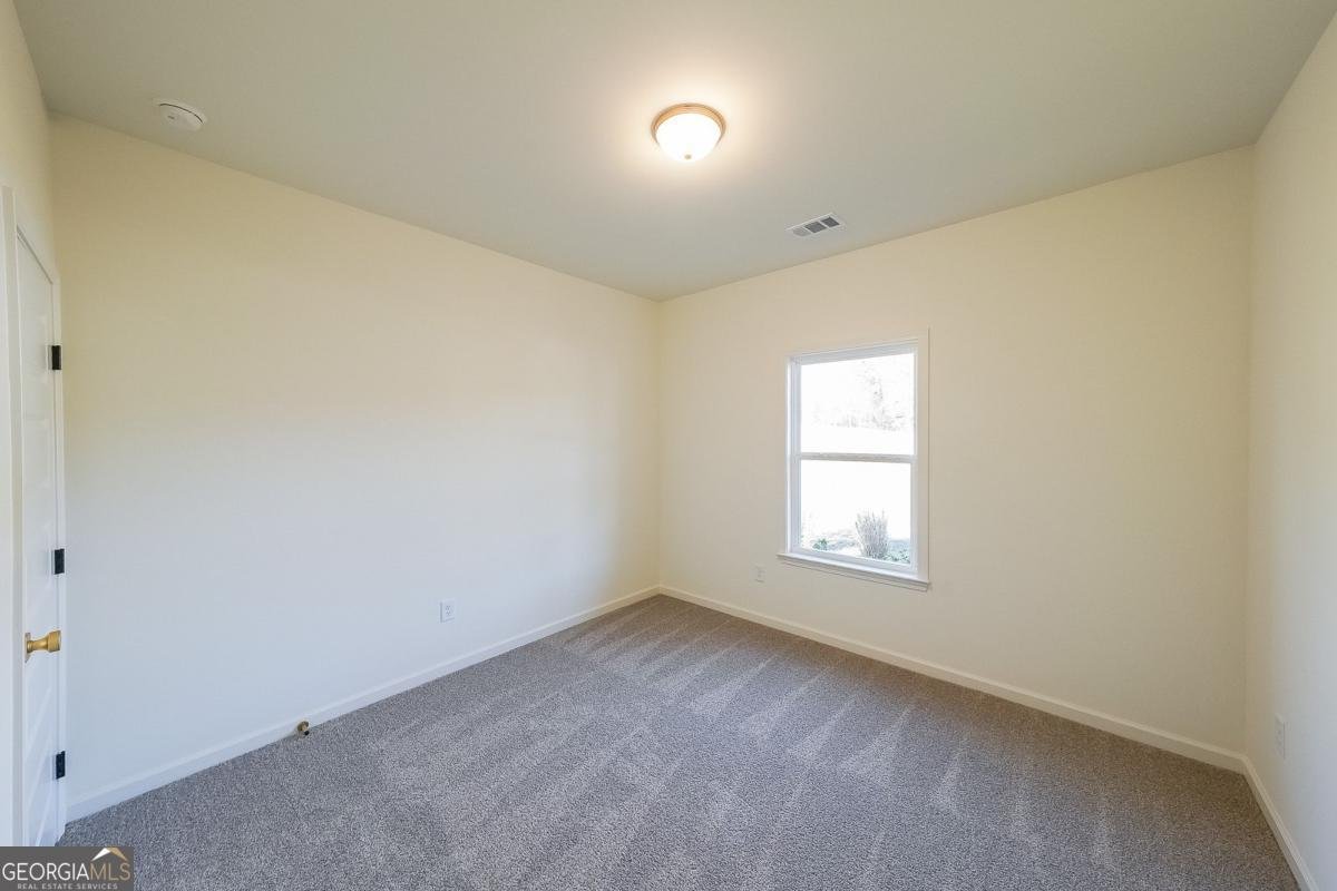 109 Odgers Trail Dawsonville - Photo 30