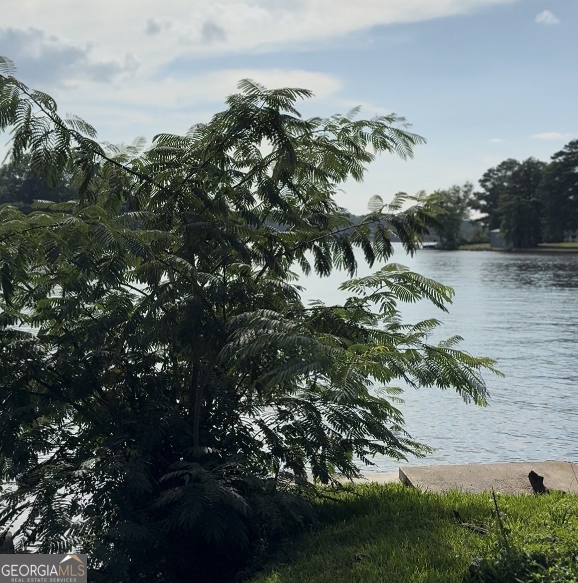 231 Lakeshore Drive Carrollton - Photo 11