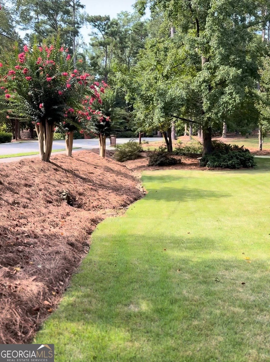 231 Lakeshore Drive Carrollton - Photo 51