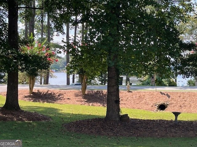 231 Lakeshore Drive Carrollton - Photo 53