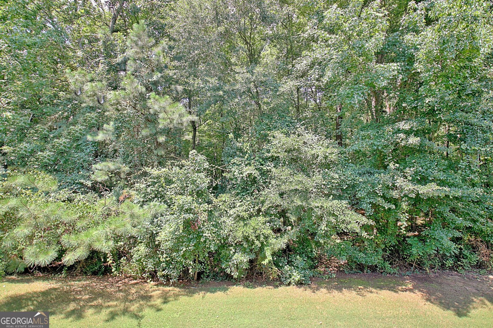 22 Star Spangled Lane Peachtree City - Photo 29