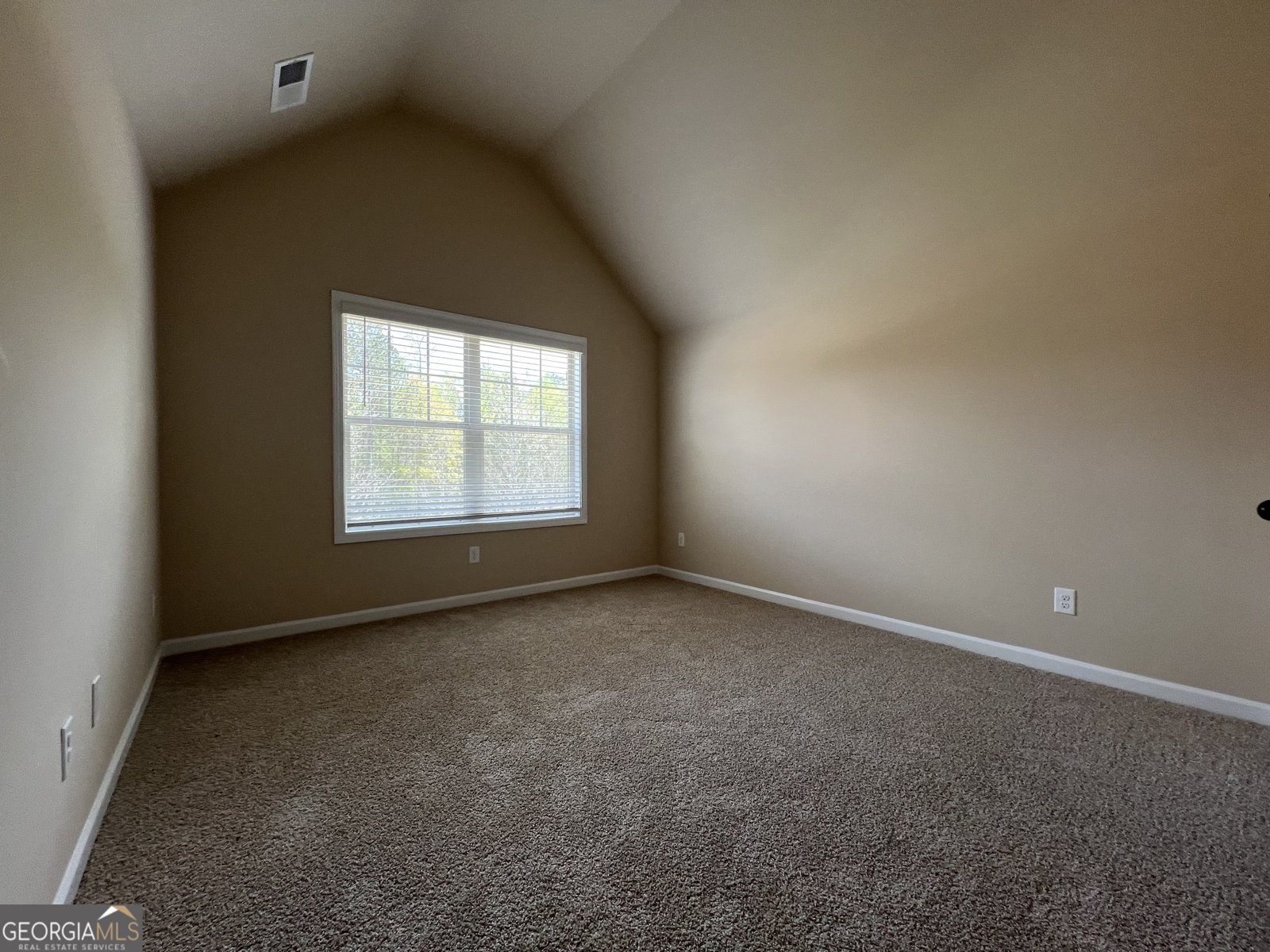 341 Homestead Circle LOT 22A Forsyth - Photo 33