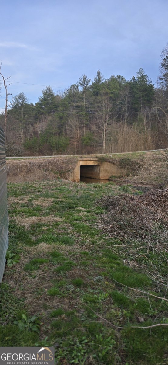 2731 Tate Road Blairsville - Photo 42