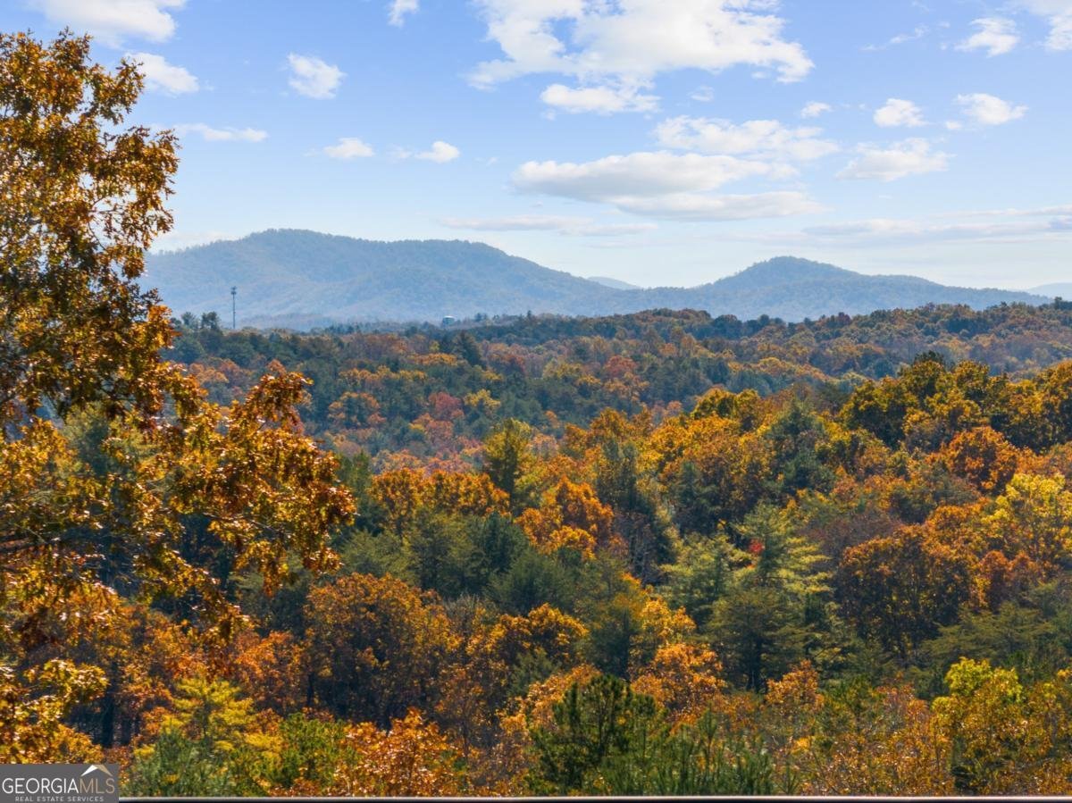 653 The Woods Road Mineral Bluff - Photo 8