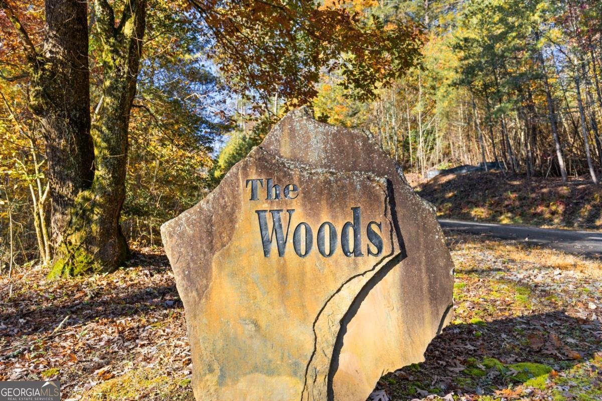 653 The Woods Road Mineral Bluff - Photo 9