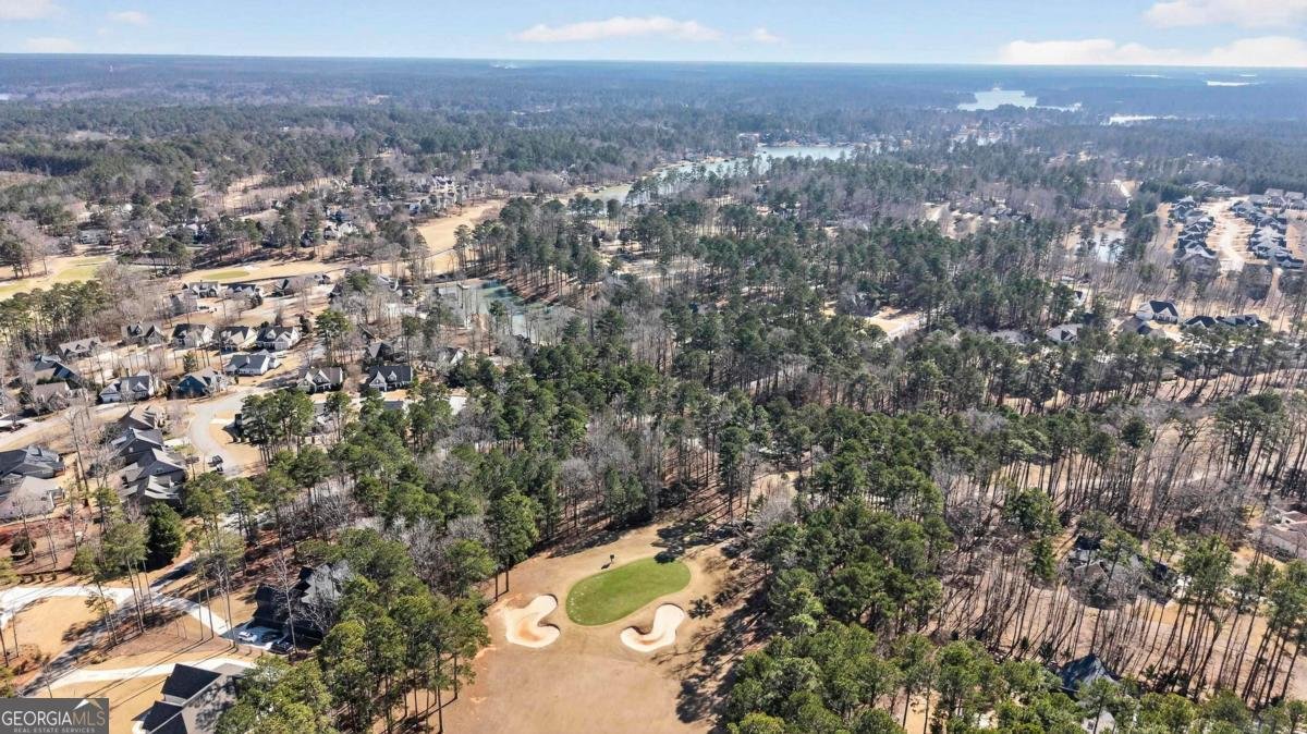 1841 Osprey Poynte Greensboro - Photo 12