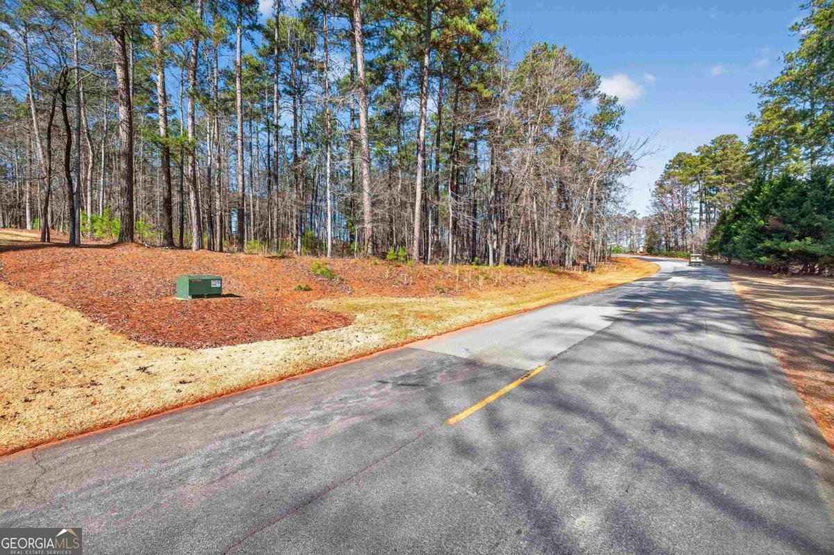 1841 Osprey Poynte Greensboro - Photo 14