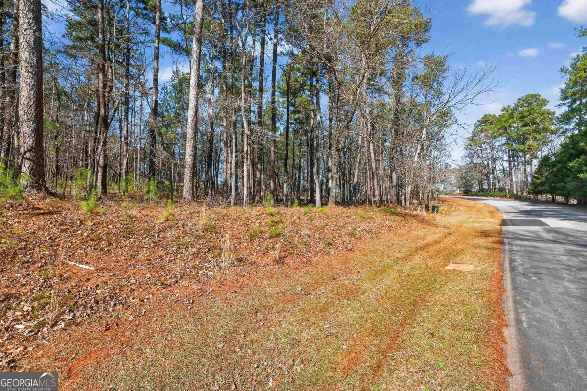 1841 Osprey Poynte Greensboro - Photo 15