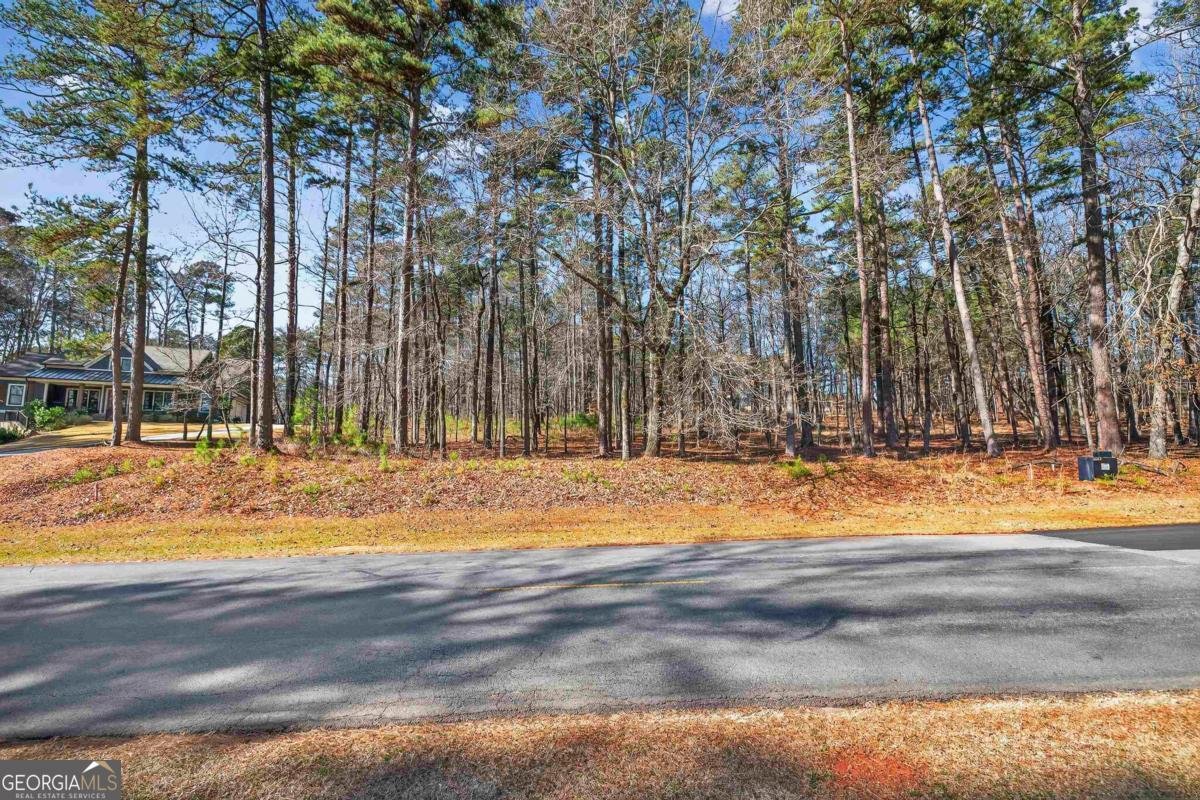 1841 Osprey Poynte Greensboro - Photo 16