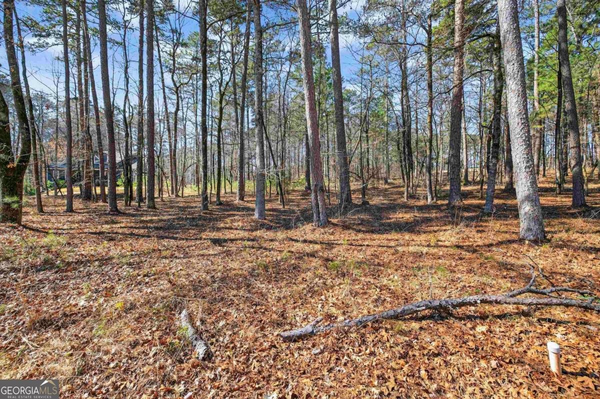 1841 Osprey Poynte Greensboro - Photo 17