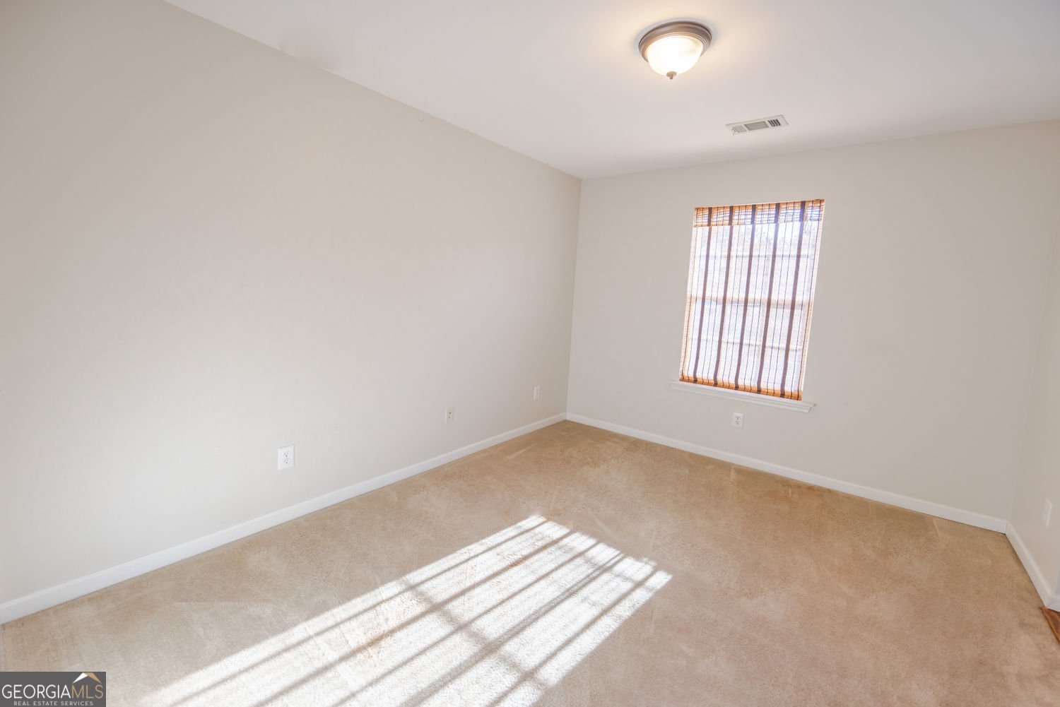 309 Hiawassee Drive Woodstock - Photo 8