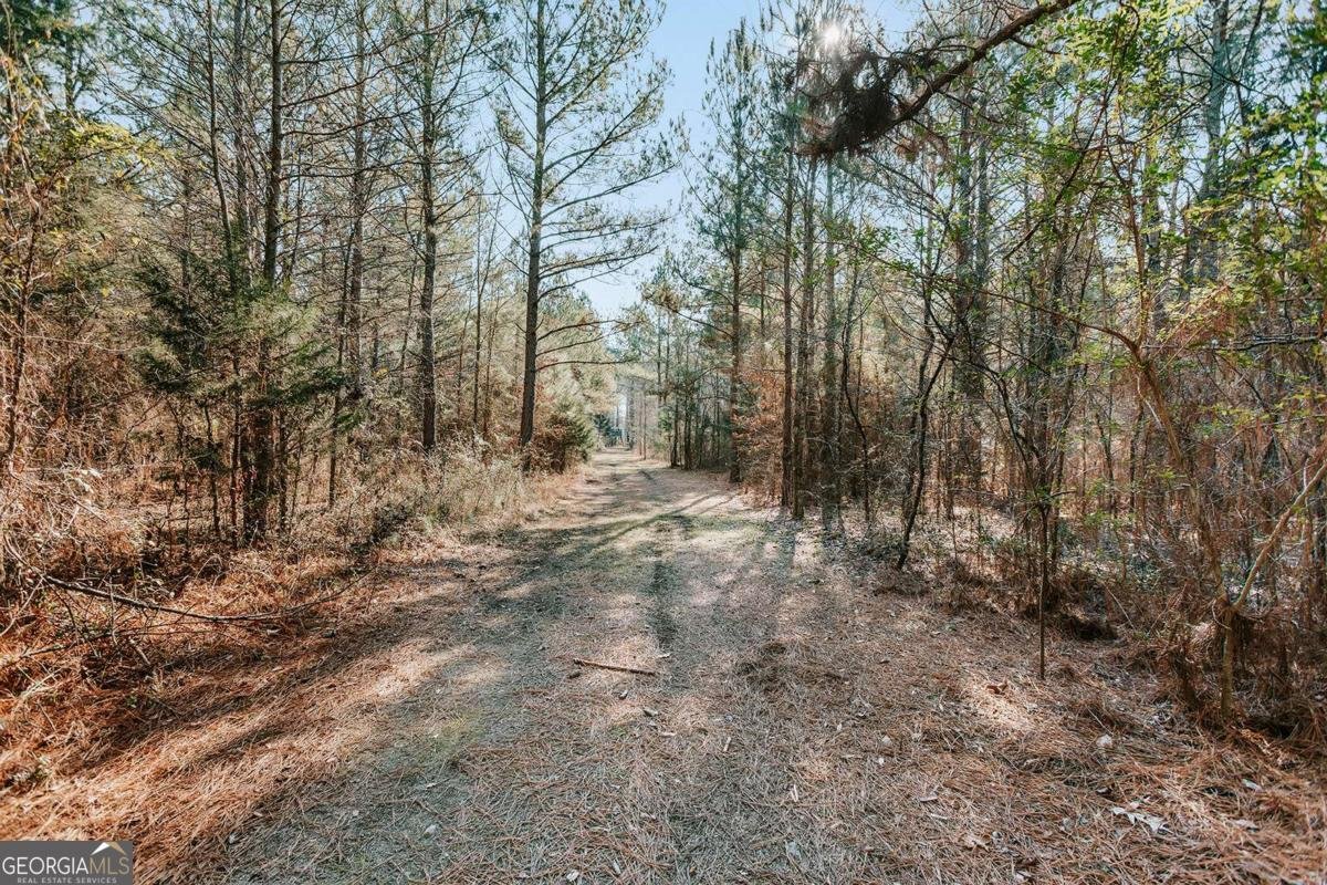 716 Stevens Grove Church Road Lexington - Photo 34