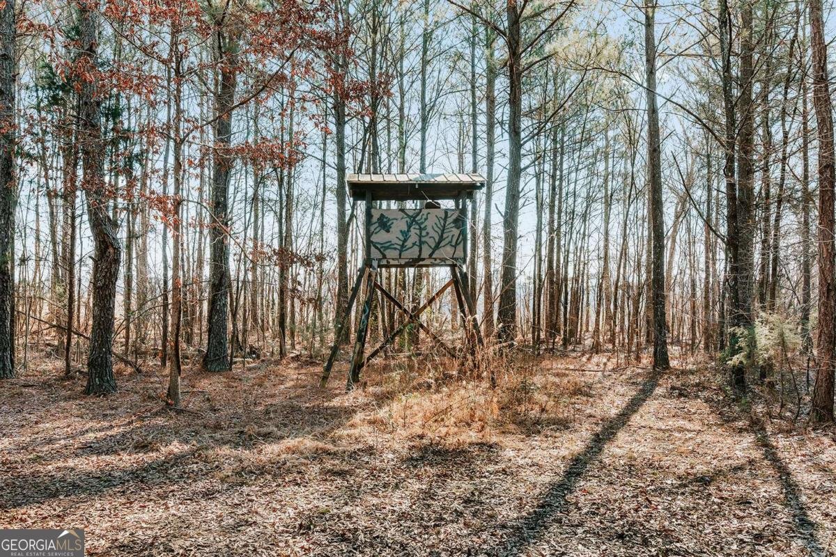 716 Stevens Grove Church Road Lexington - Photo 35