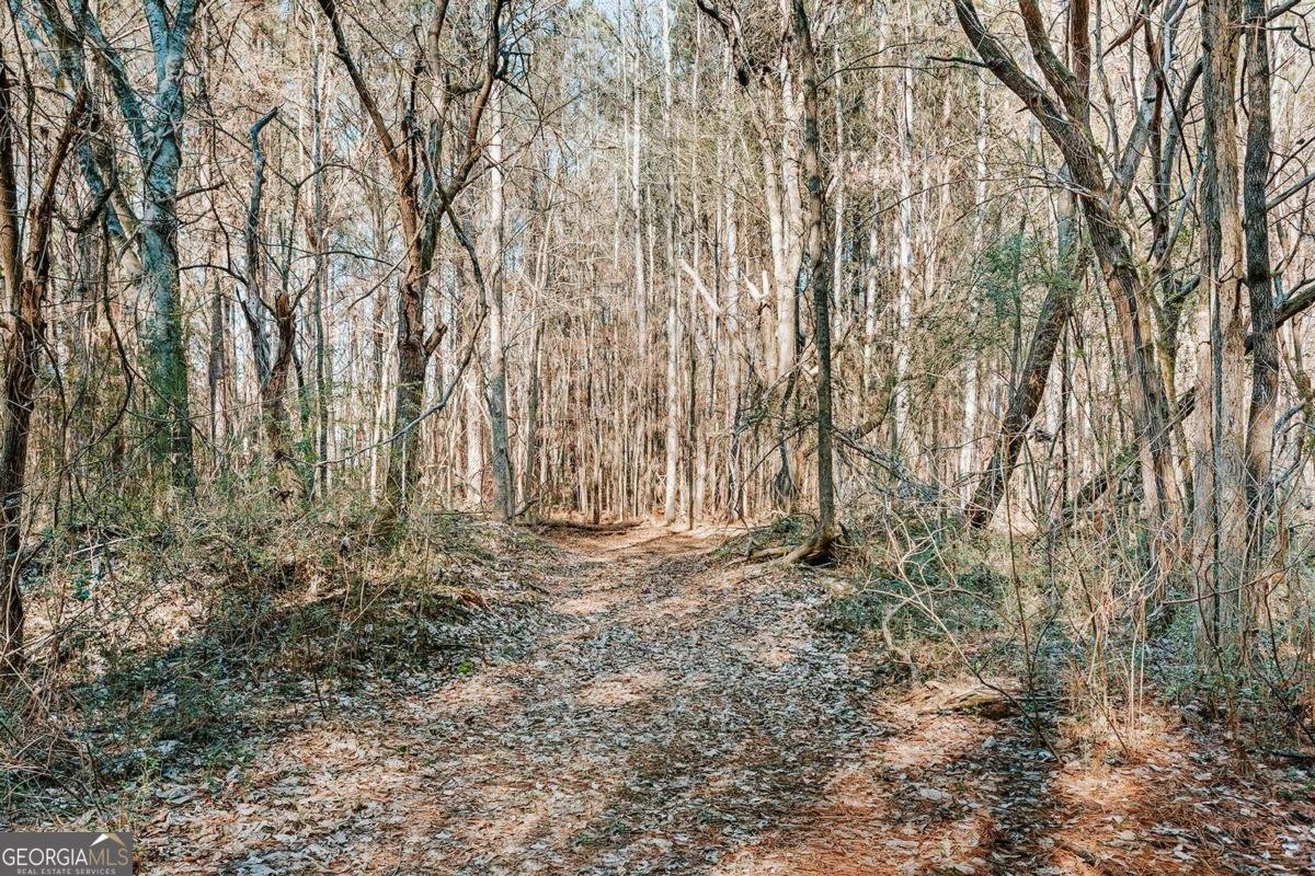 716 Stevens Grove Church Road Lexington - Photo 36