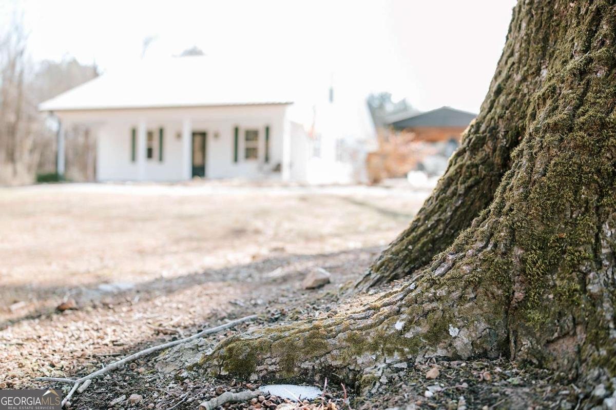 716 Stevens Grove Church Road Lexington - Photo 40