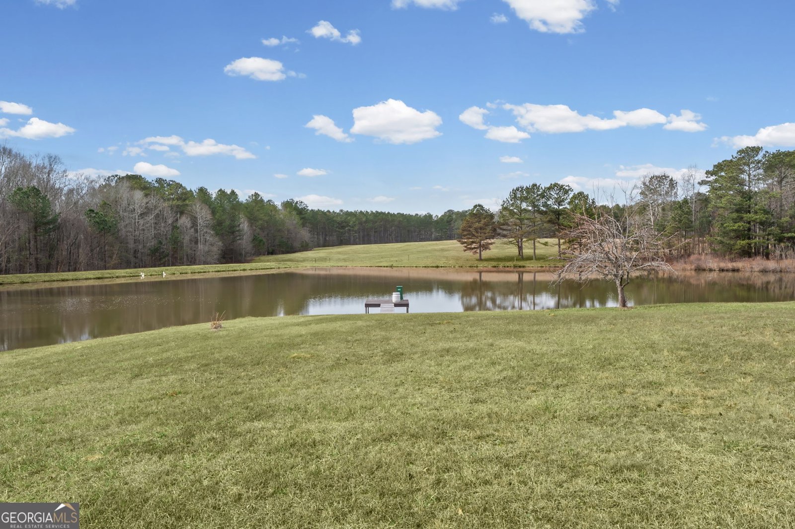 8817 Highway 100 Hogansville - Photo 54
