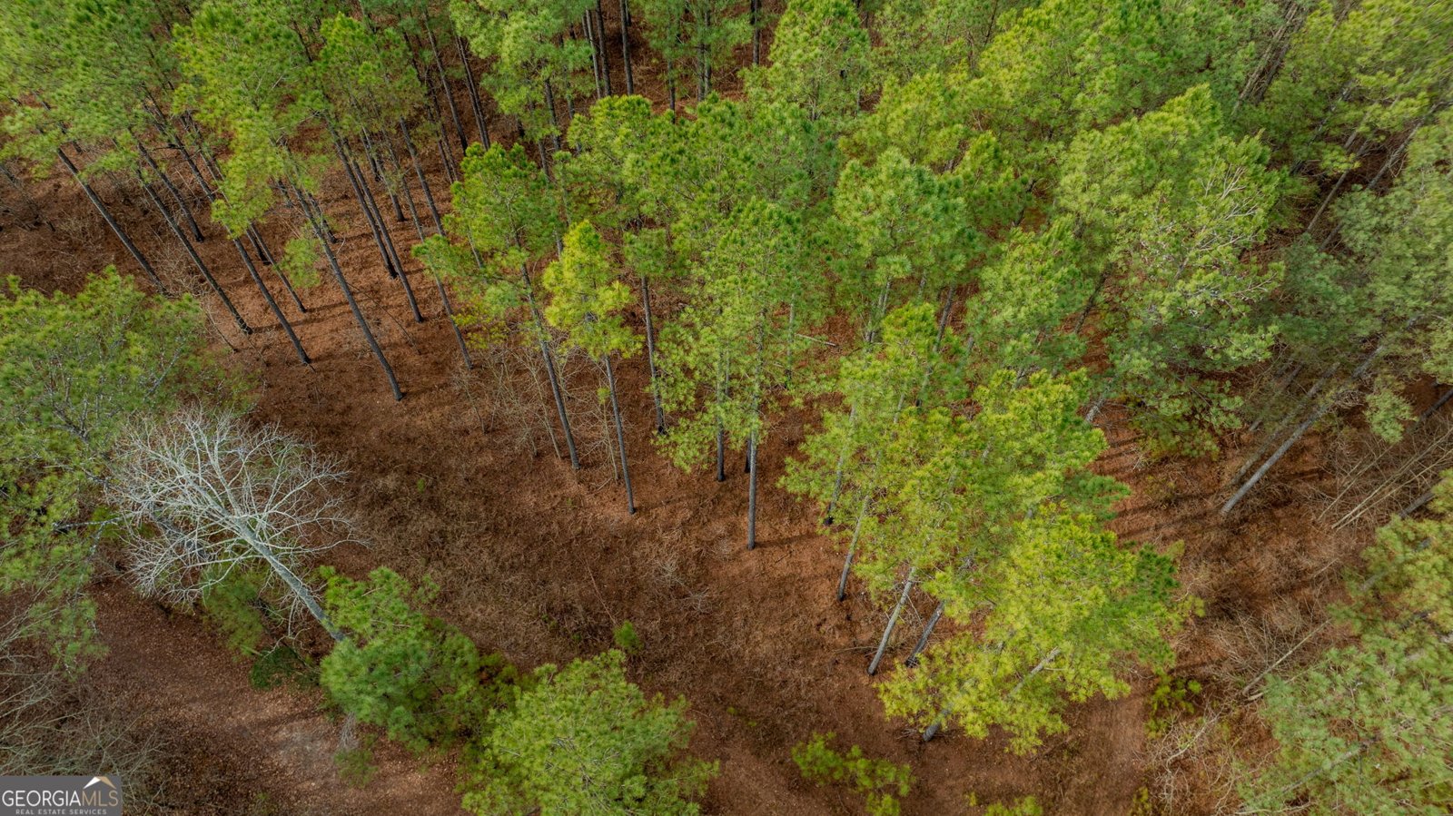 8817 Highway 100 Hogansville - Photo 66