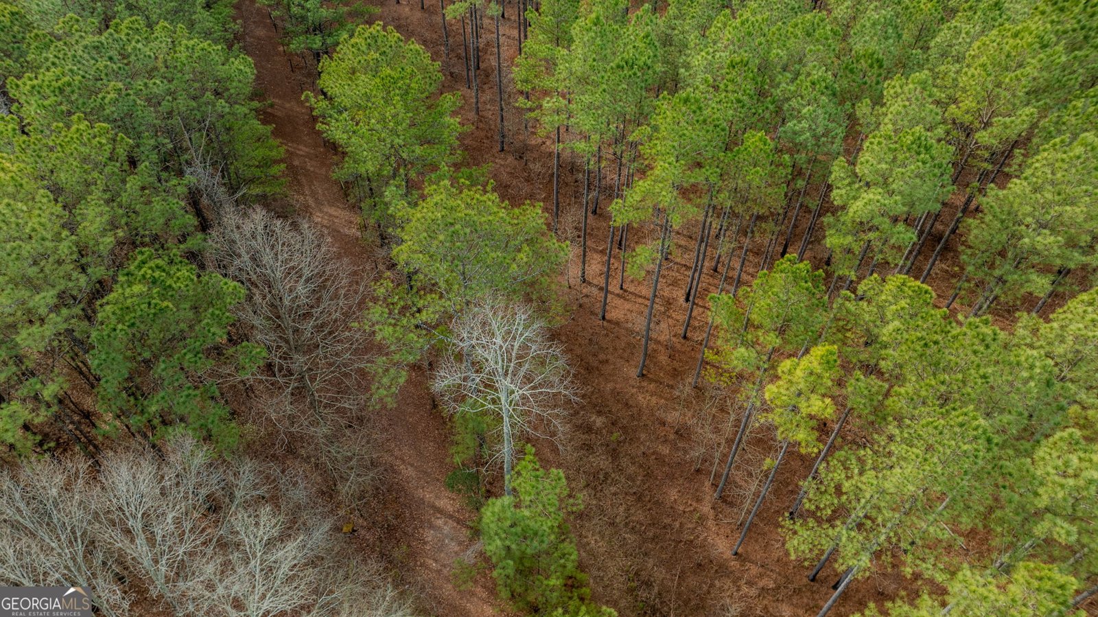 8817 Highway 100 Hogansville - Photo 67