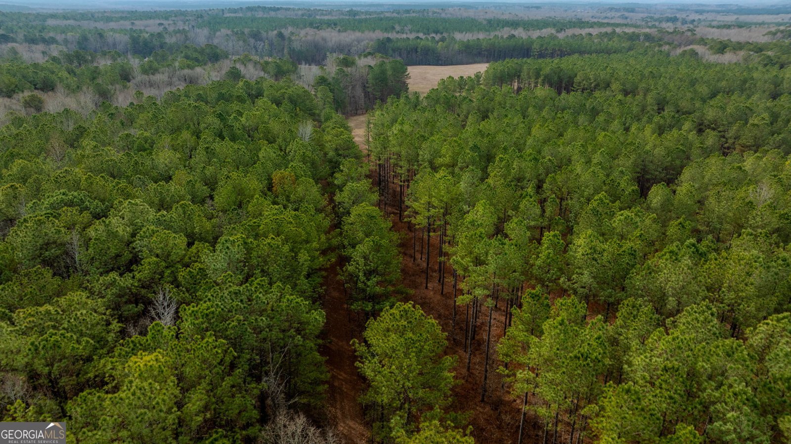 8817 Highway 100 Hogansville - Photo 69