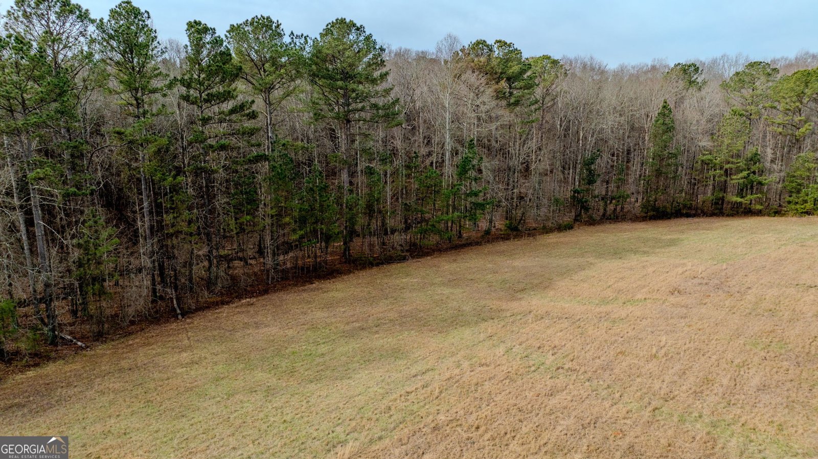 8817 Highway 100 Hogansville - Photo 78