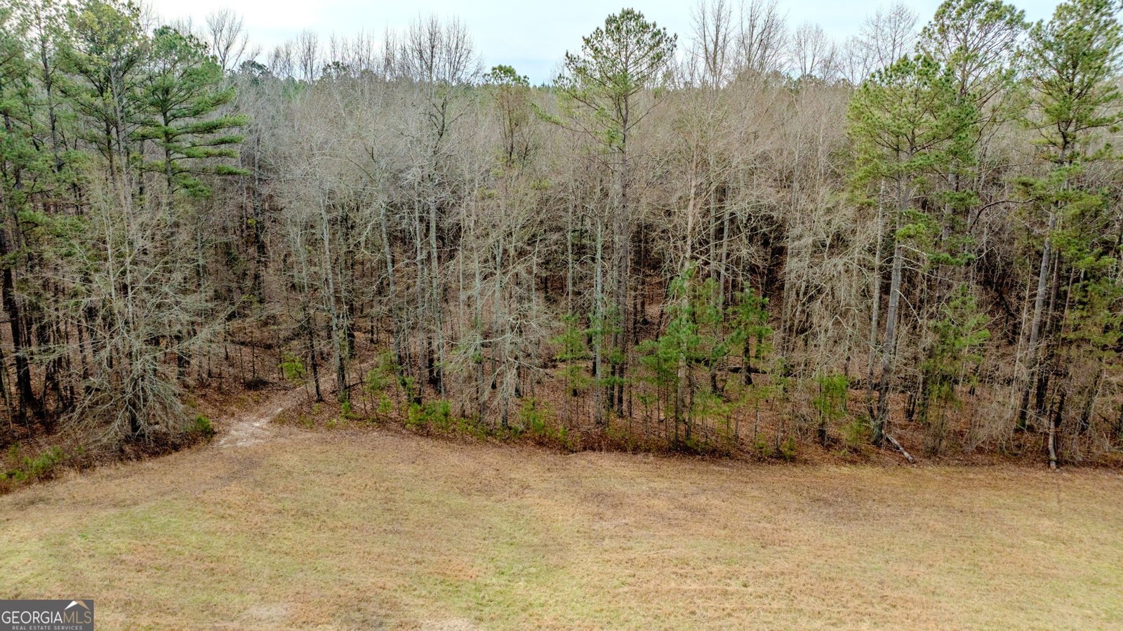 8817 Highway 100 Hogansville - Photo 79