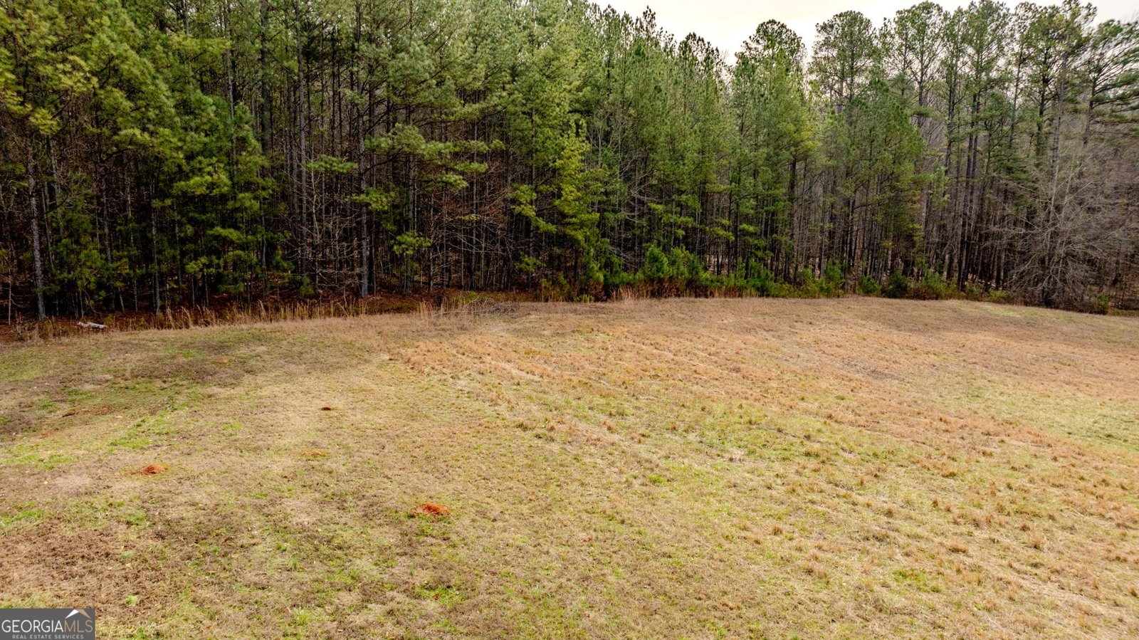 8817 Highway 100 Hogansville - Photo 84