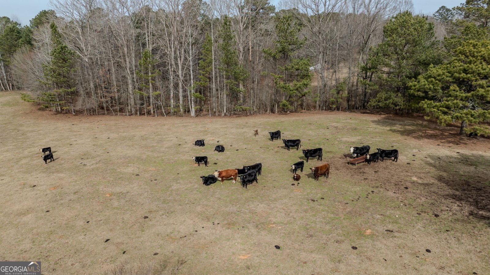 8817 Highway 100 Hogansville - Photo 97