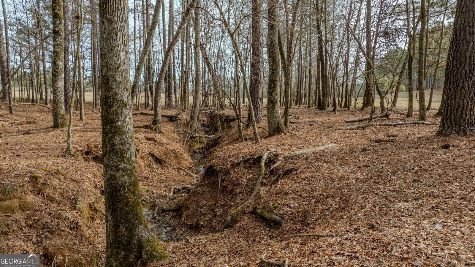 8817 Highway 100 Hogansville - Photo 98