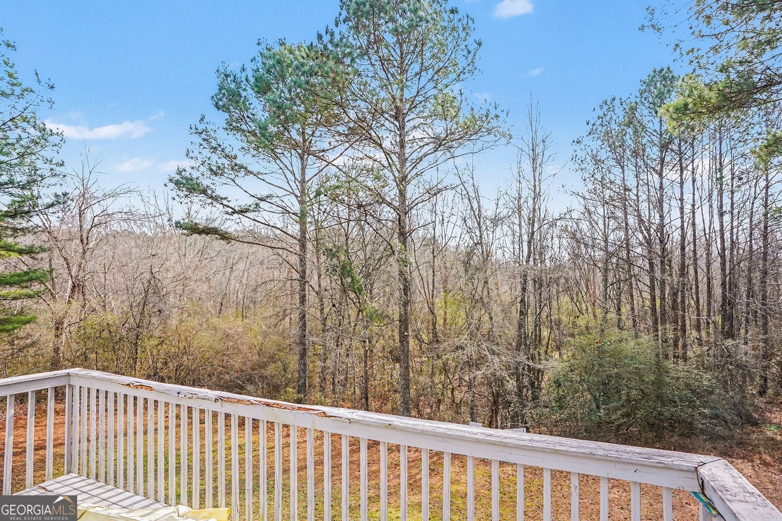 240 Grove Pointe Drive Locust Grove - Photo 30