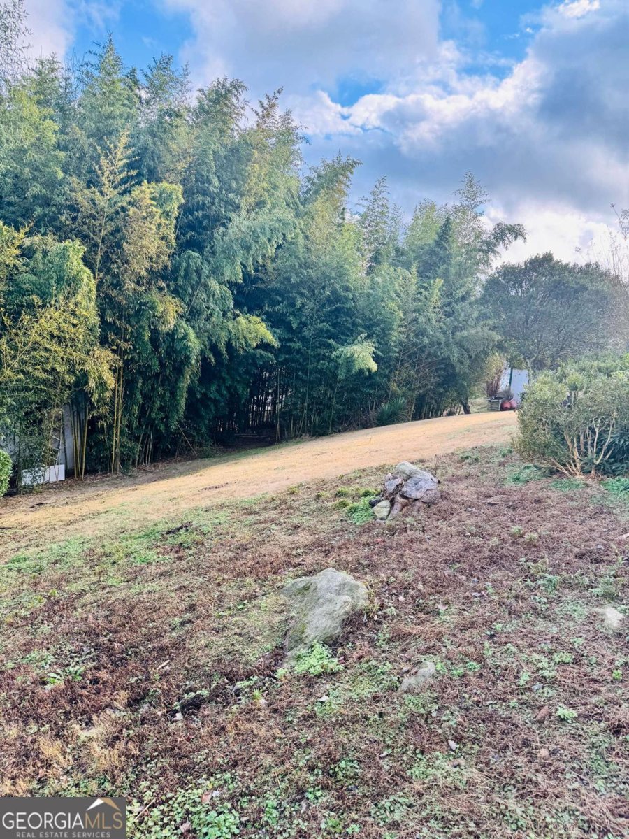 7962 Harmony Ridge Ln Lithonia - Photo 19