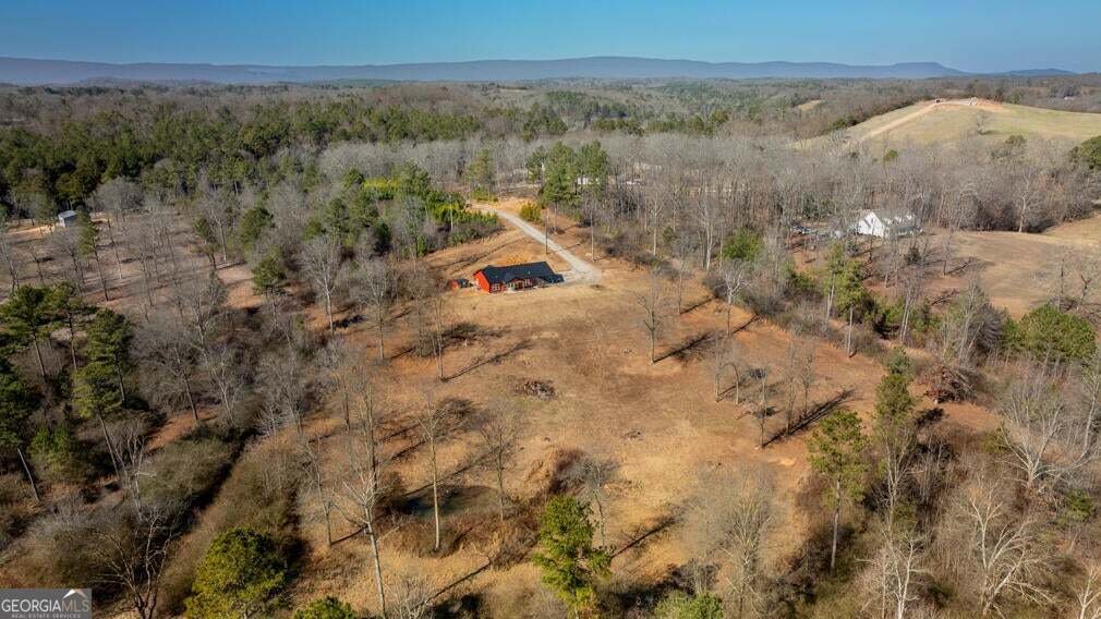 910 Tatum Road Trion - Photo 42