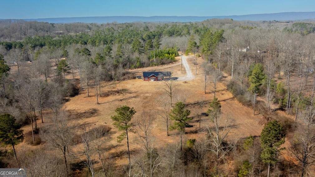 910 Tatum Road Trion - Photo 43