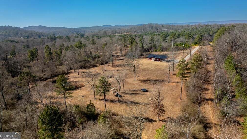 910 Tatum Road Trion - Photo 44