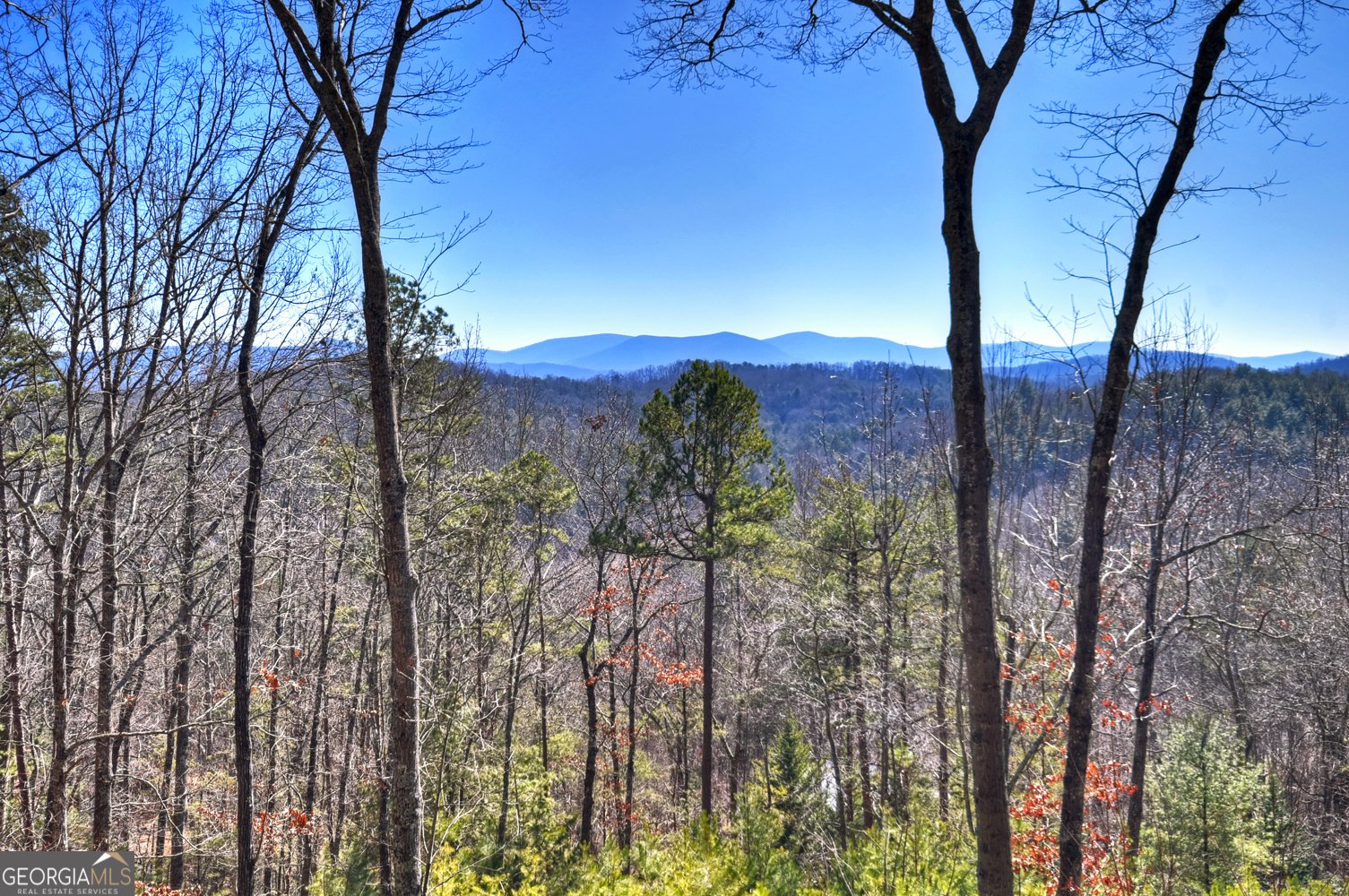 78 Brass Hill Road Blue Ridge - Photo 41