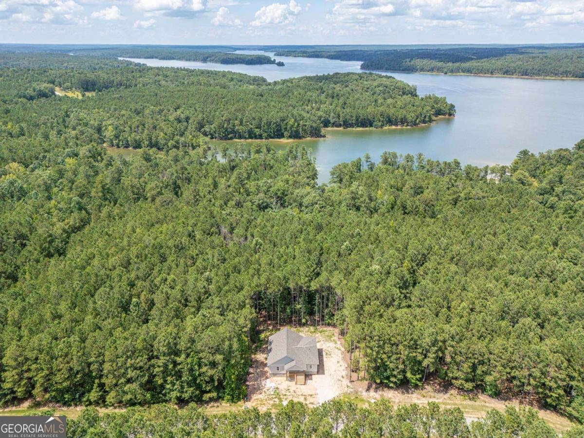 1165 Watersedge Cove Tignall - Photo 39