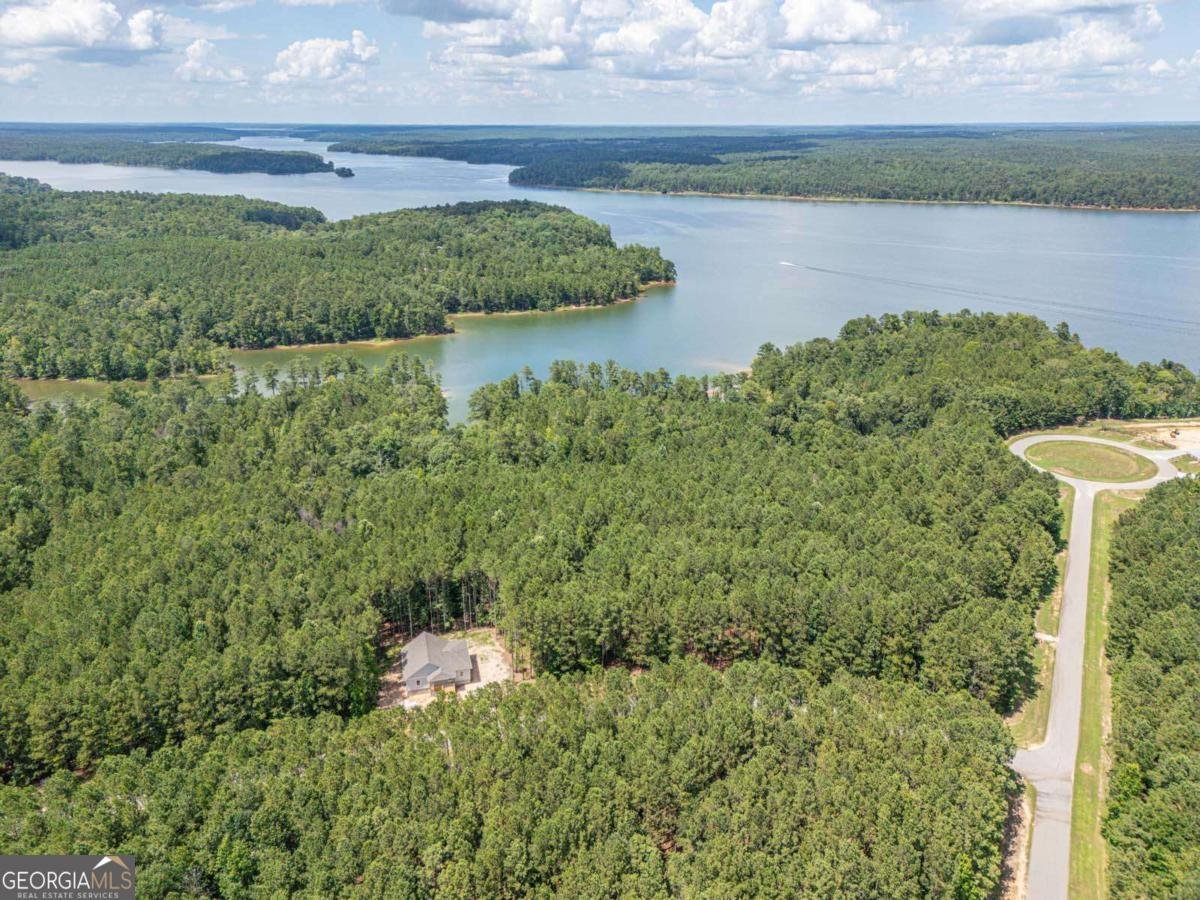 1165 Watersedge Cove Tignall - Photo 40