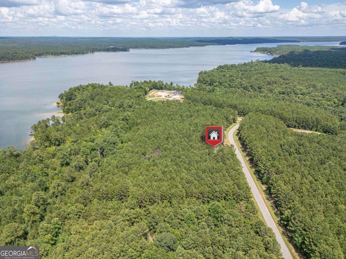 1165 Watersedge Cove Tignall - Photo 41