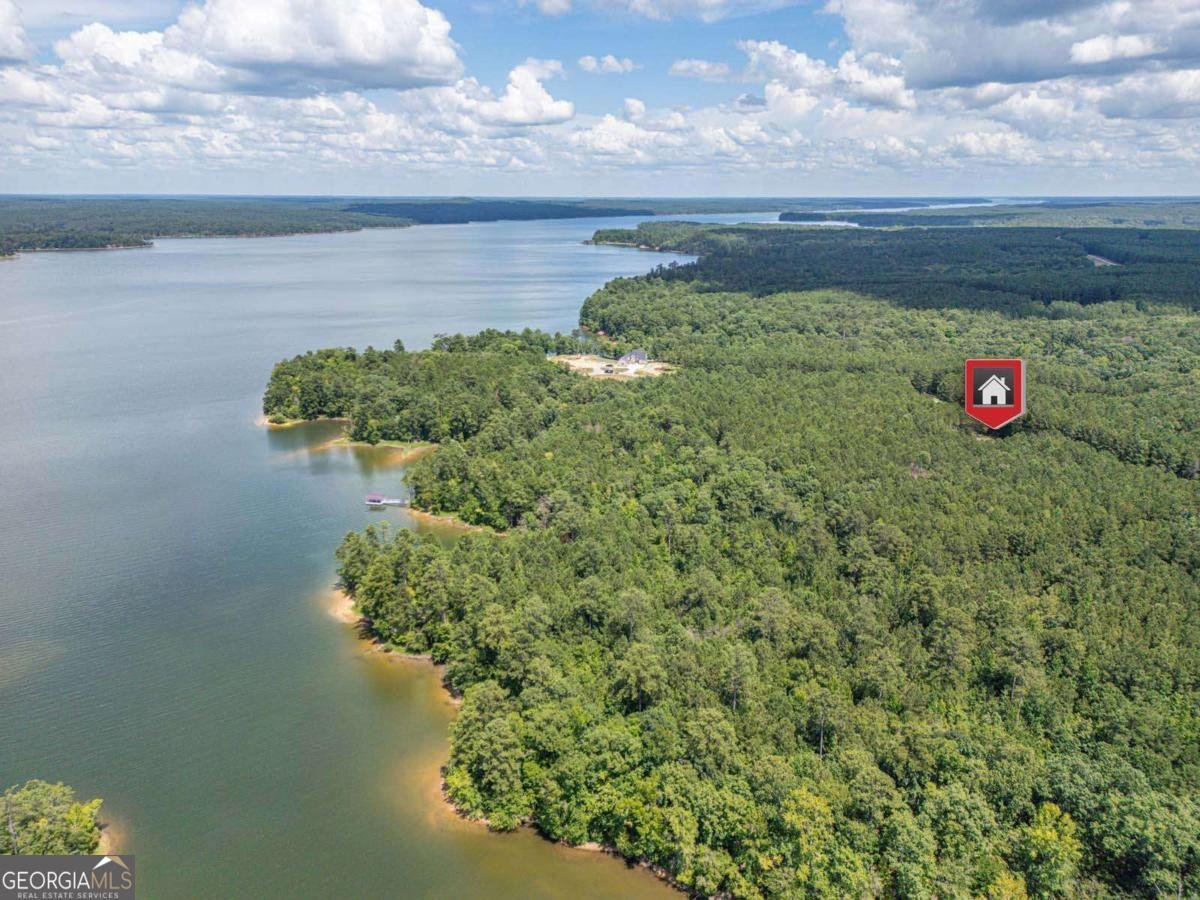 1165 Watersedge Cove Tignall - Photo 42