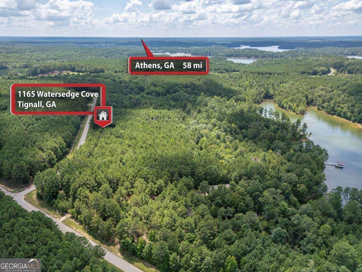 1165 Watersedge Cove Tignall - Photo 43