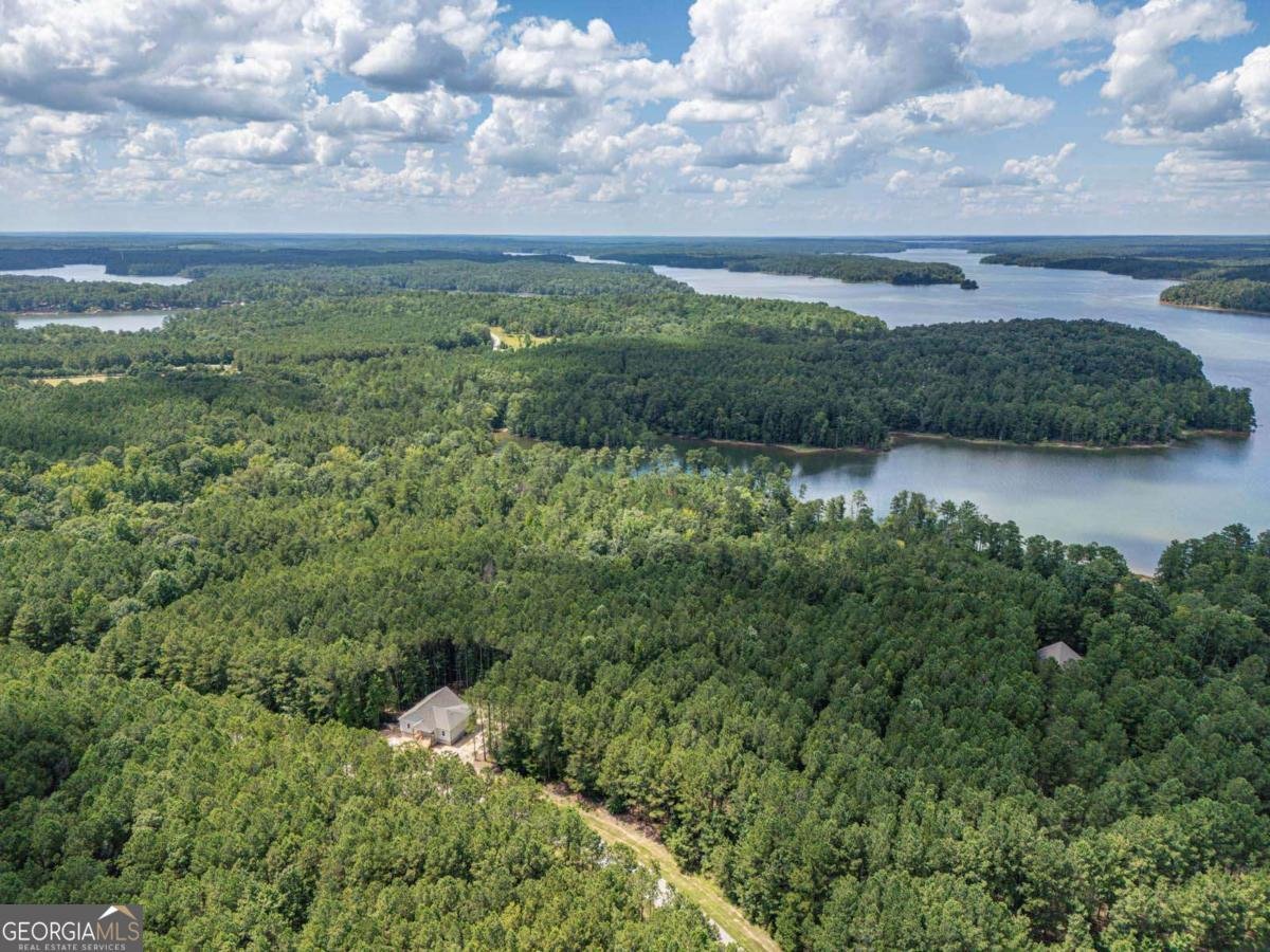 1165 Watersedge Cove Tignall - Photo 44