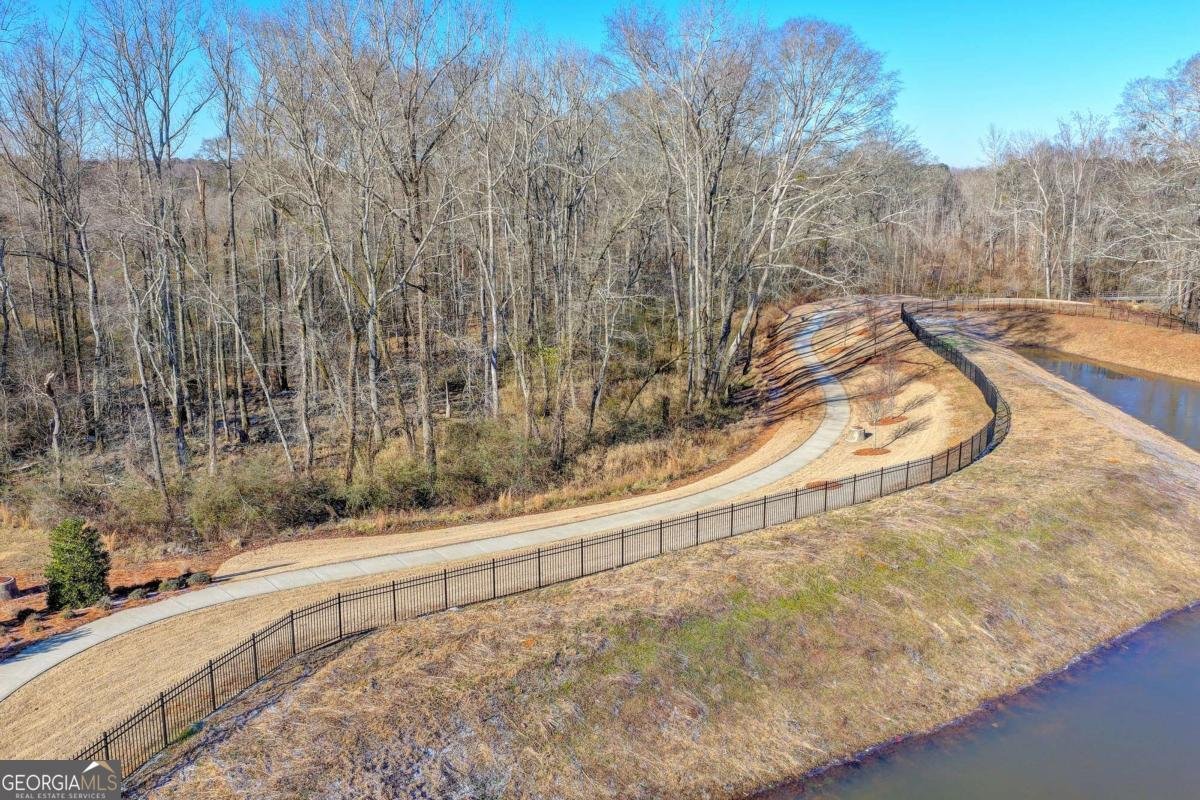 7785 Wild Violet Drive Cumming - Photo 62