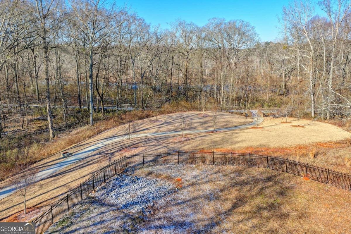 7785 Wild Violet Drive Cumming - Photo 64