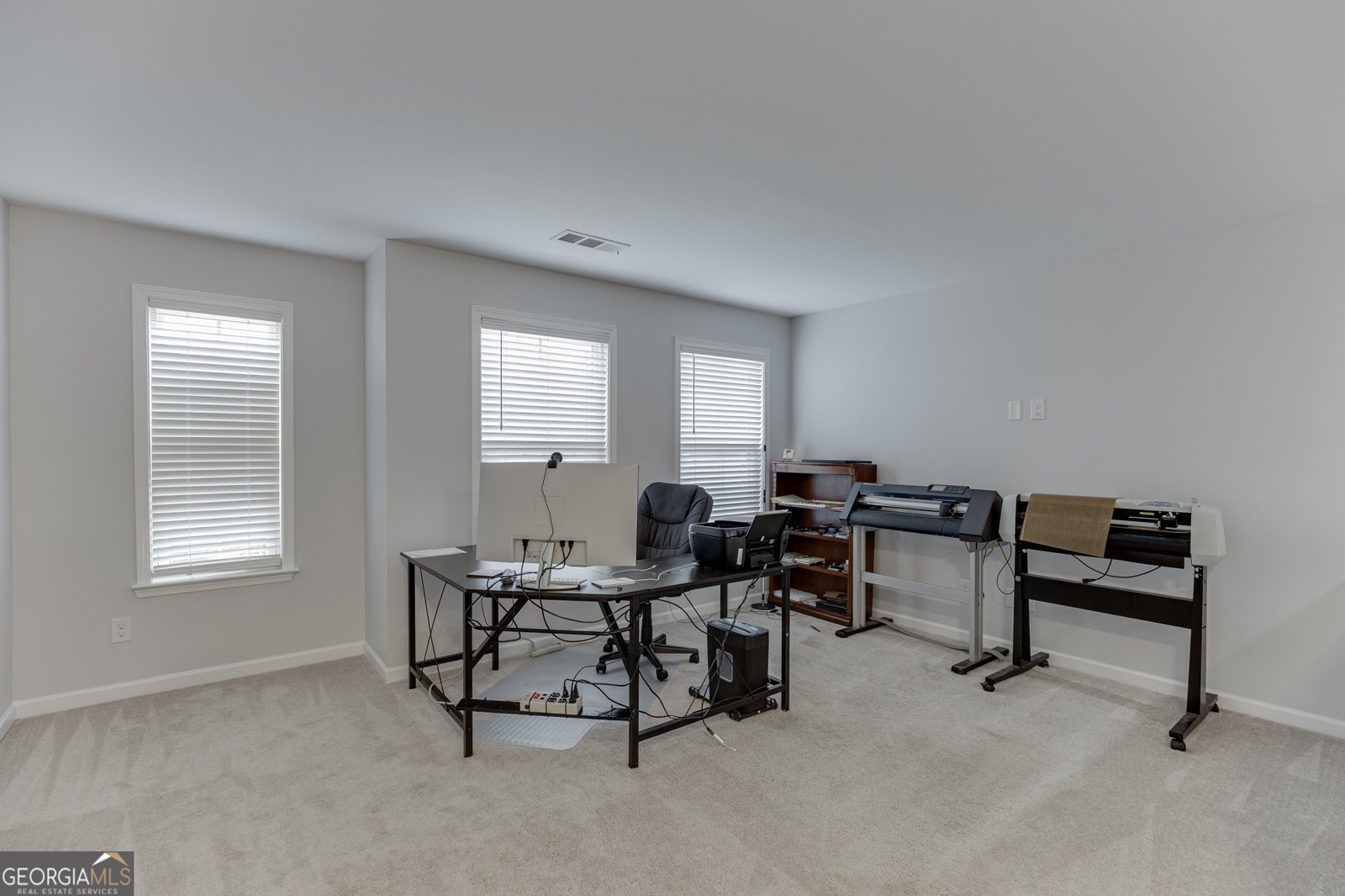 6438 Hickory Branch Drive Hoschton - Photo 21