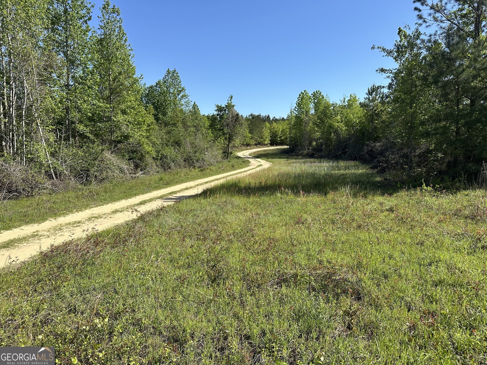 208 Oak Grove Lane Sylvania - Photo 25