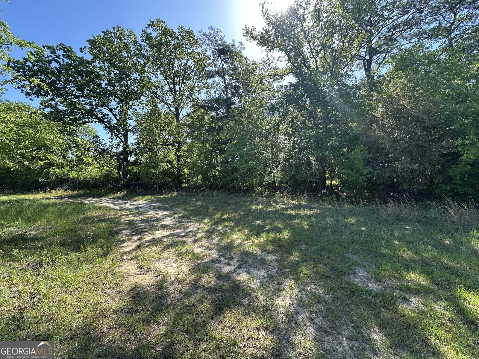 208 Oak Grove Lane Sylvania - Photo 30