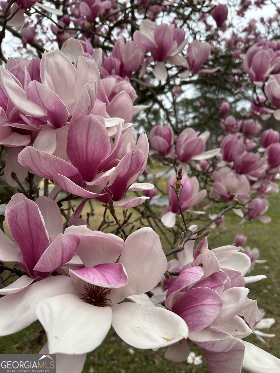 3675 Toxaway Court Atlanta - Photo 42