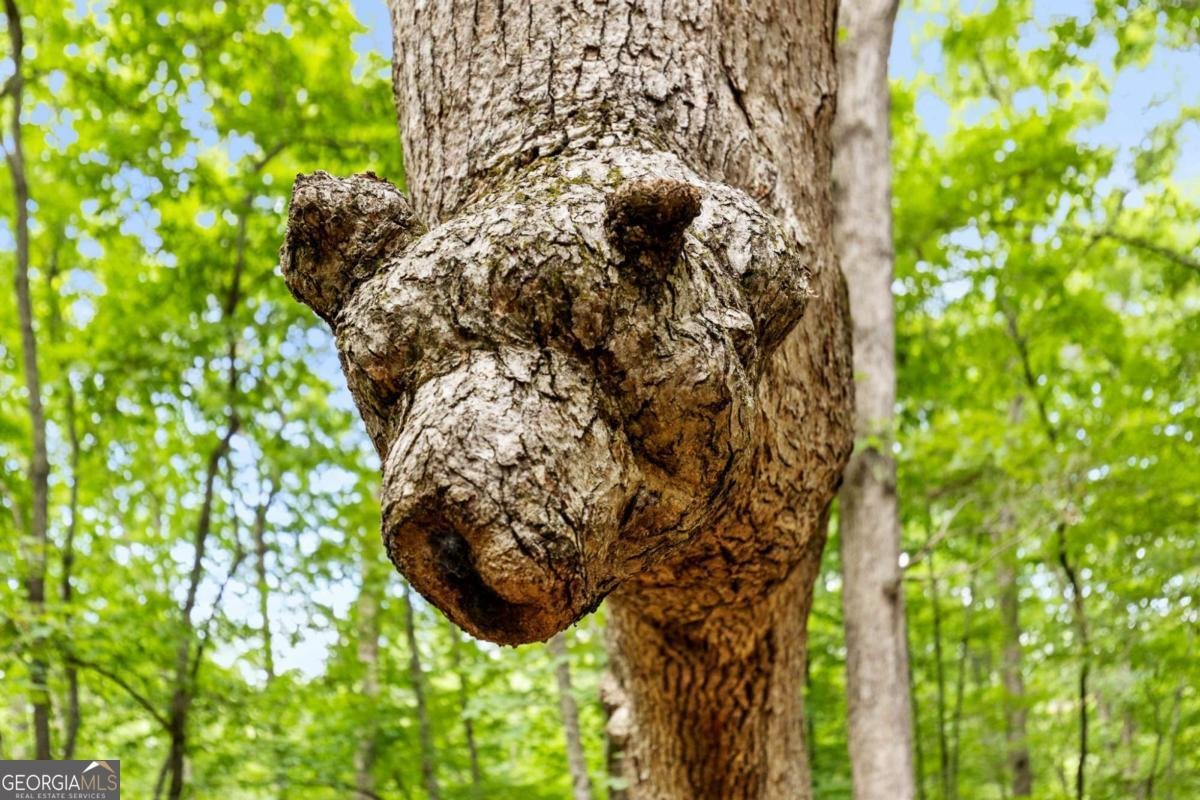 100 Arbor Way Blue Ridge - Photo 44