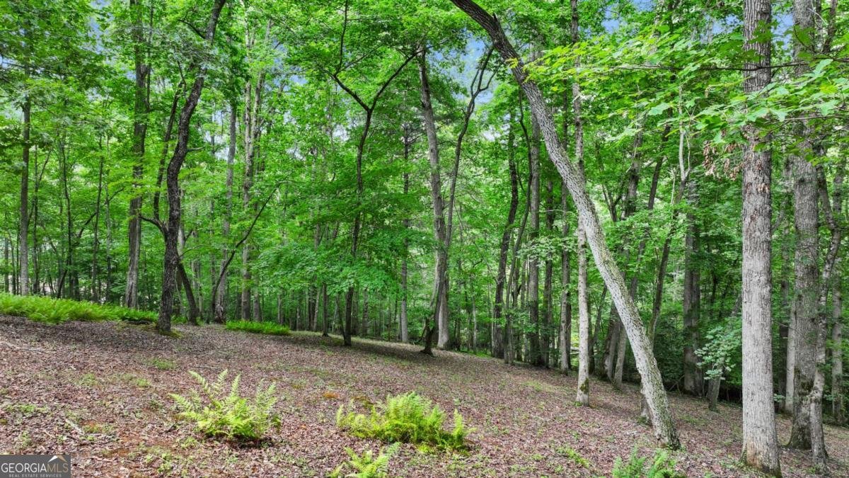 100 Arbor Way Blue Ridge - Photo 45