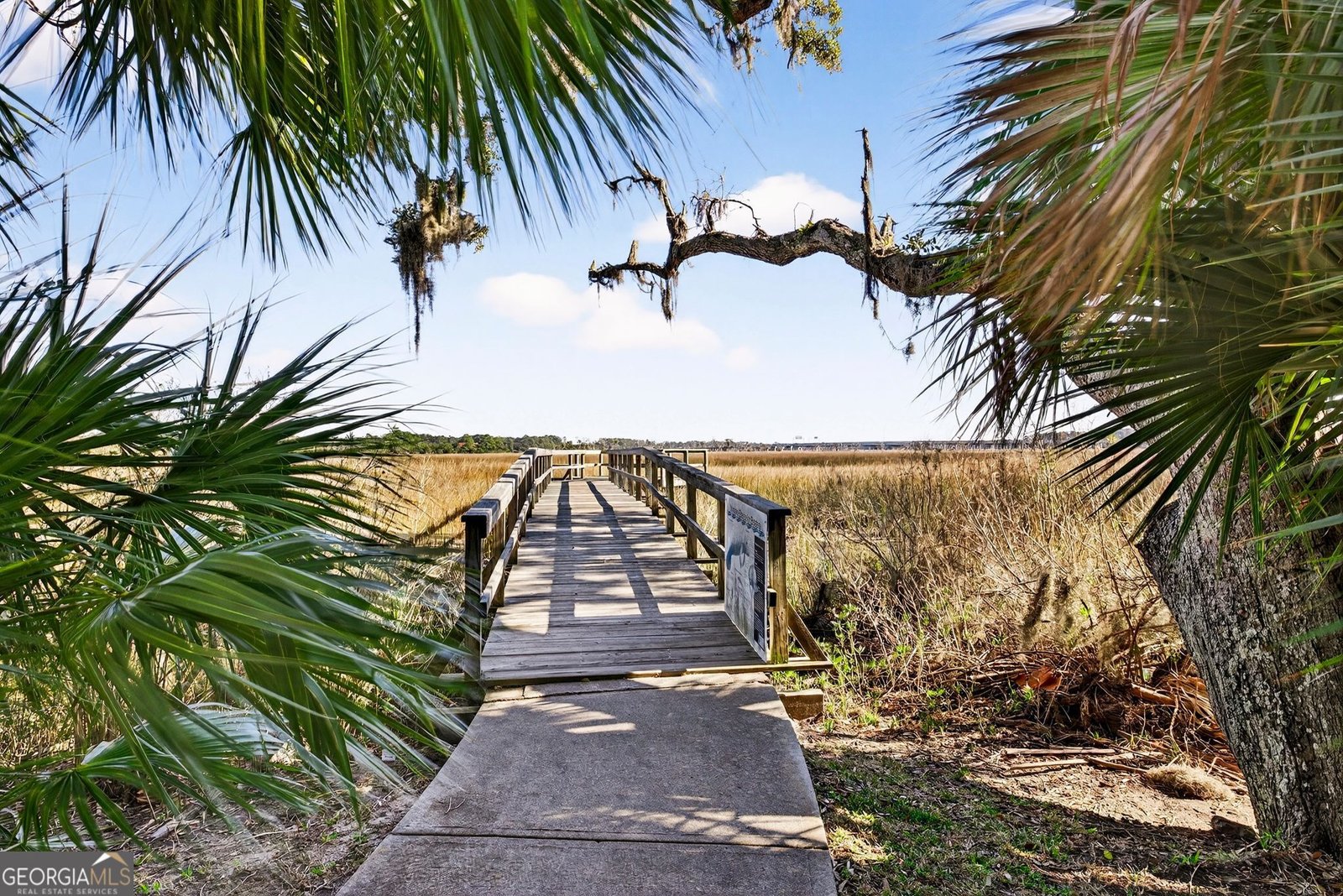 11330 White Bluff Road Savannah - Photo 31