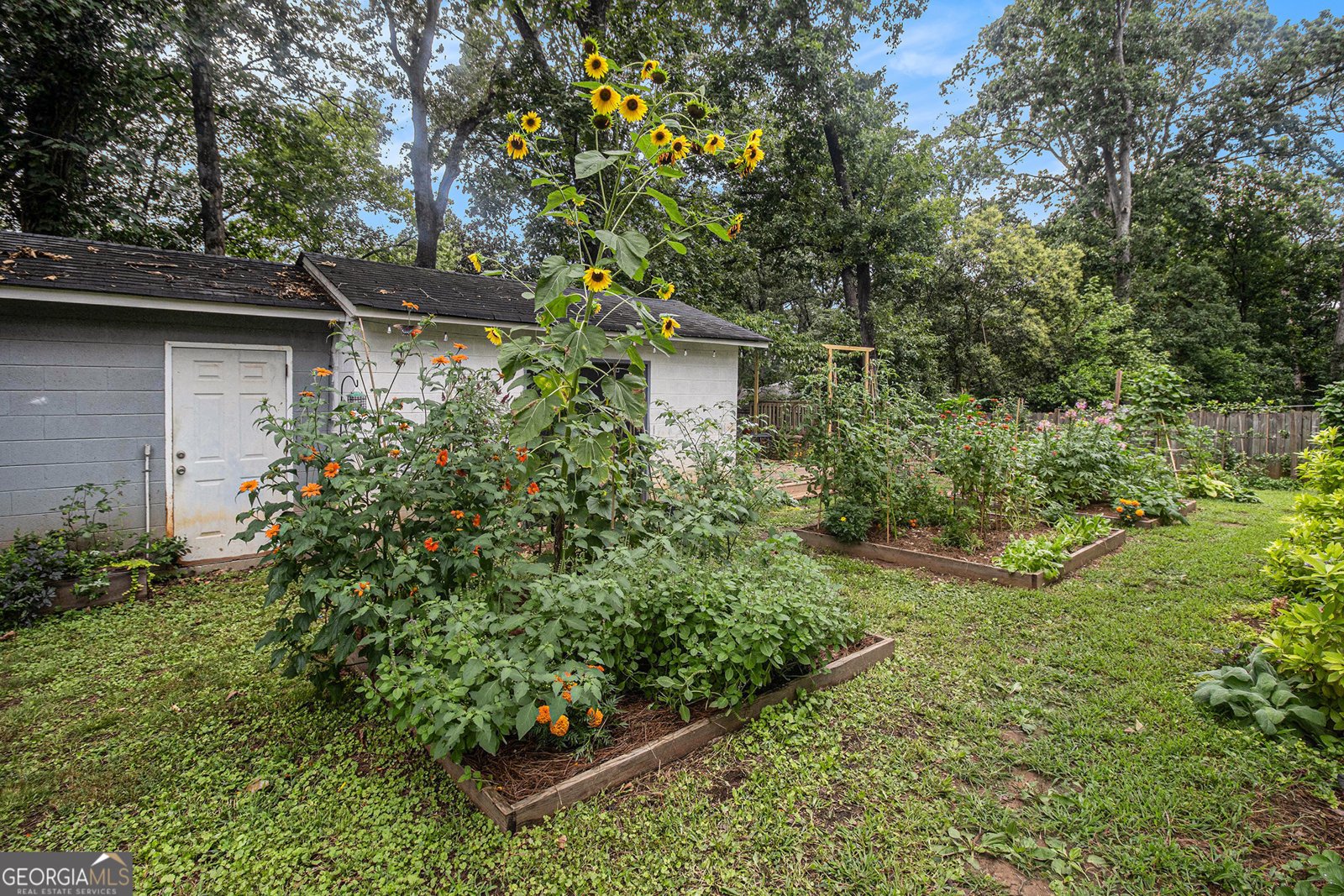 1347 Dorothy Drive Decatur - Photo 36